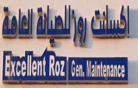 Excellent Roz General Maintenance and Motor Winding